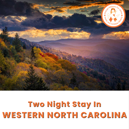 Western North Carolina (2 Night Stay in a 3 Bedroom Home) - 5 Tickets